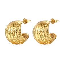 Load image into Gallery viewer, 18K gold plated Stainless steel "Sophisticated" earrings